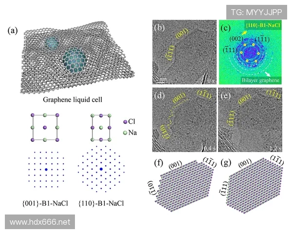 阿什拉夫：对比坎塞洛——推进方式与技术路线分野